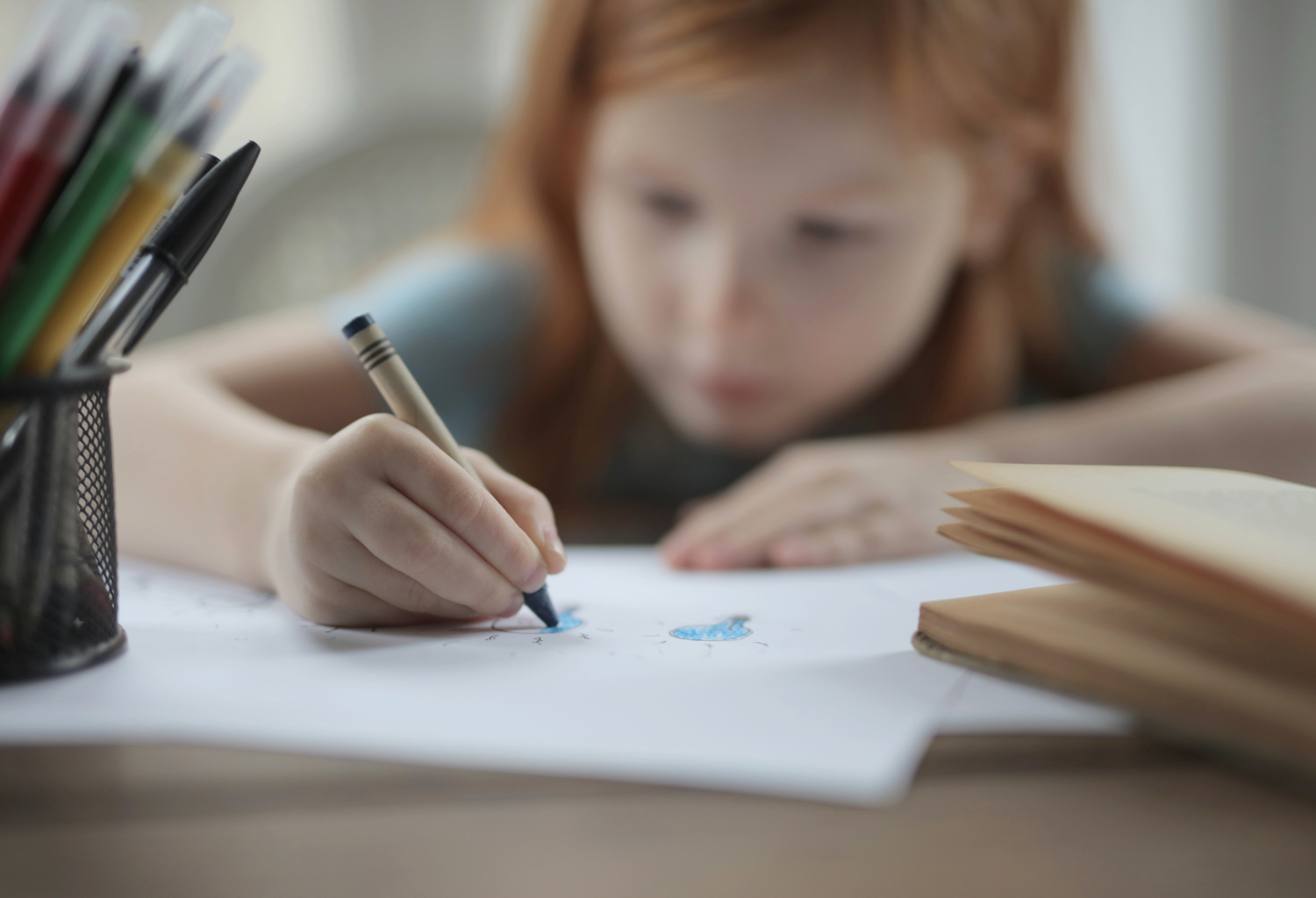 melhores escolas de porto alegre