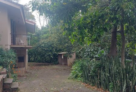 Casa com 8m², 2 quartos, 1 suíte, 5 vagas, no bairro Menino Deus em Porto Alegre