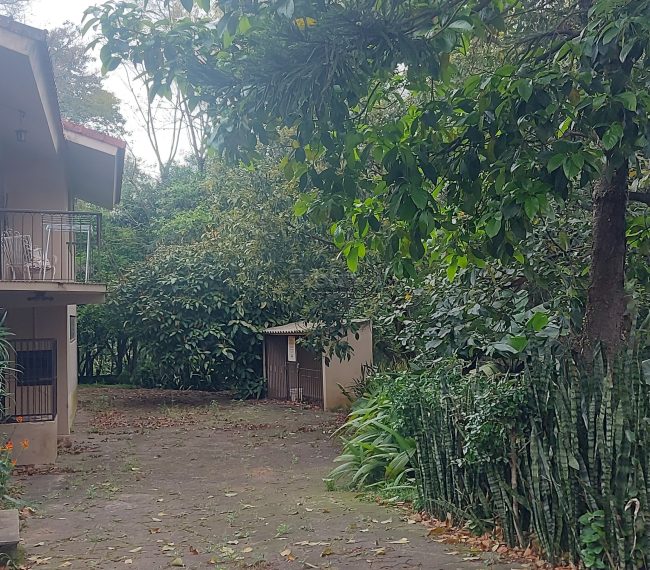 Casa com 8m², 2 quartos, 1 suíte, 5 vagas, no bairro Menino Deus em Porto Alegre